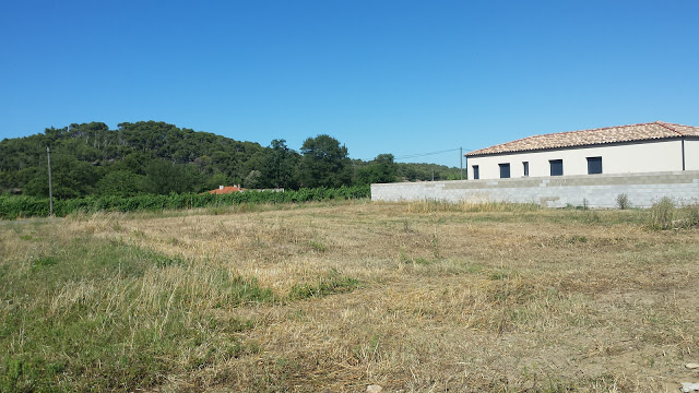 grand terrain petit prix m2
