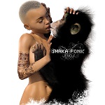 Shaka Ponk Wrong Side
