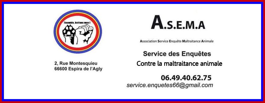 22-03-18 La présidente de l’Association ASEMA, Dany GOIZE