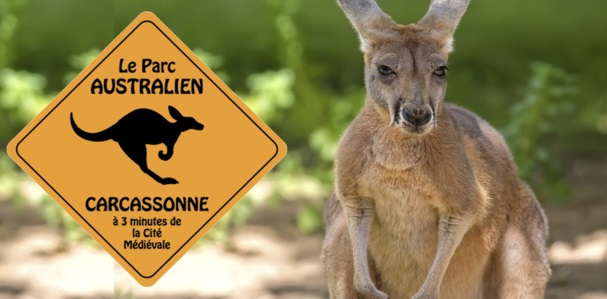 05-07-18 : Carole MASSON, propriétaire du Parc Australien de Carcassonne