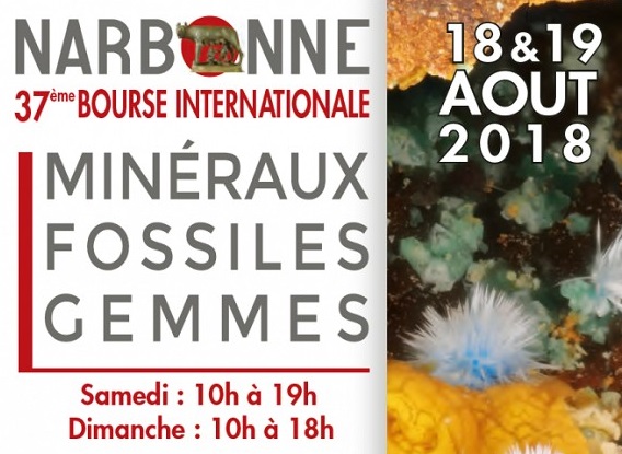 17-08-18 Paulette RIBAYNE, présidente du groupe géologique du Narbonnais