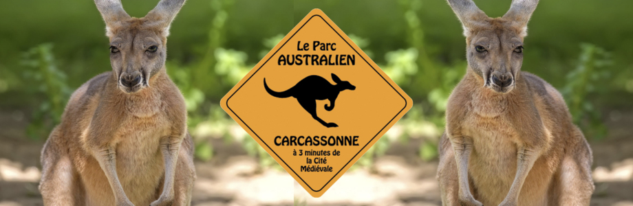 14-08-19 Carole MASSON, la propriétaire du Parc Australien de Carcassonne