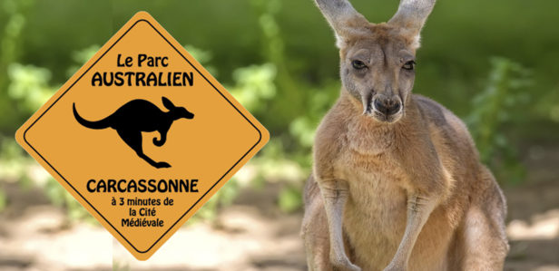 16-04-24 : Carole MASSON, propriétaire du Parc Australien de Carcassonne