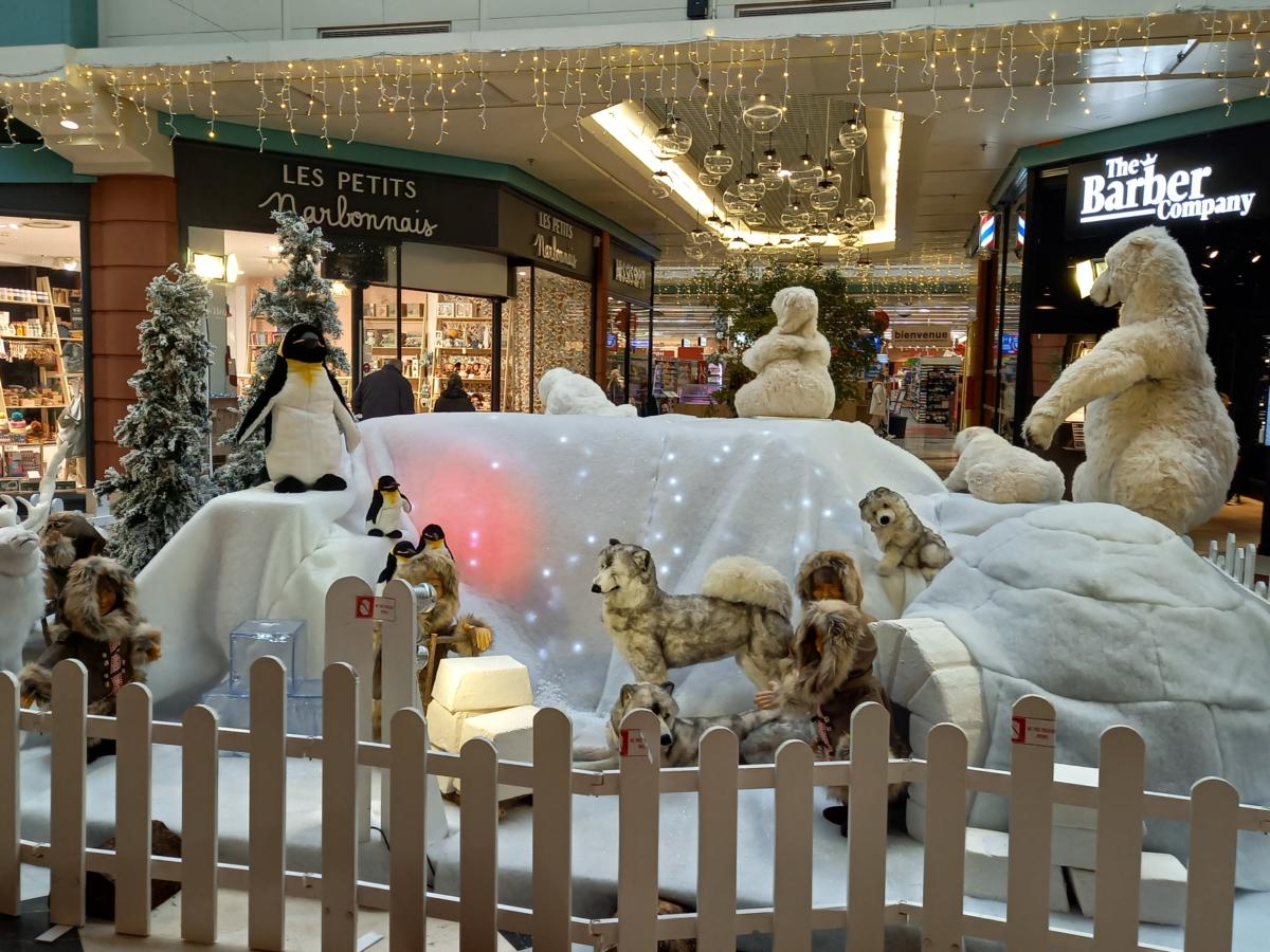 11-12-21 : Anne, présidente de l’association des commerçants de la galerie Bonne Source à Narbonne
