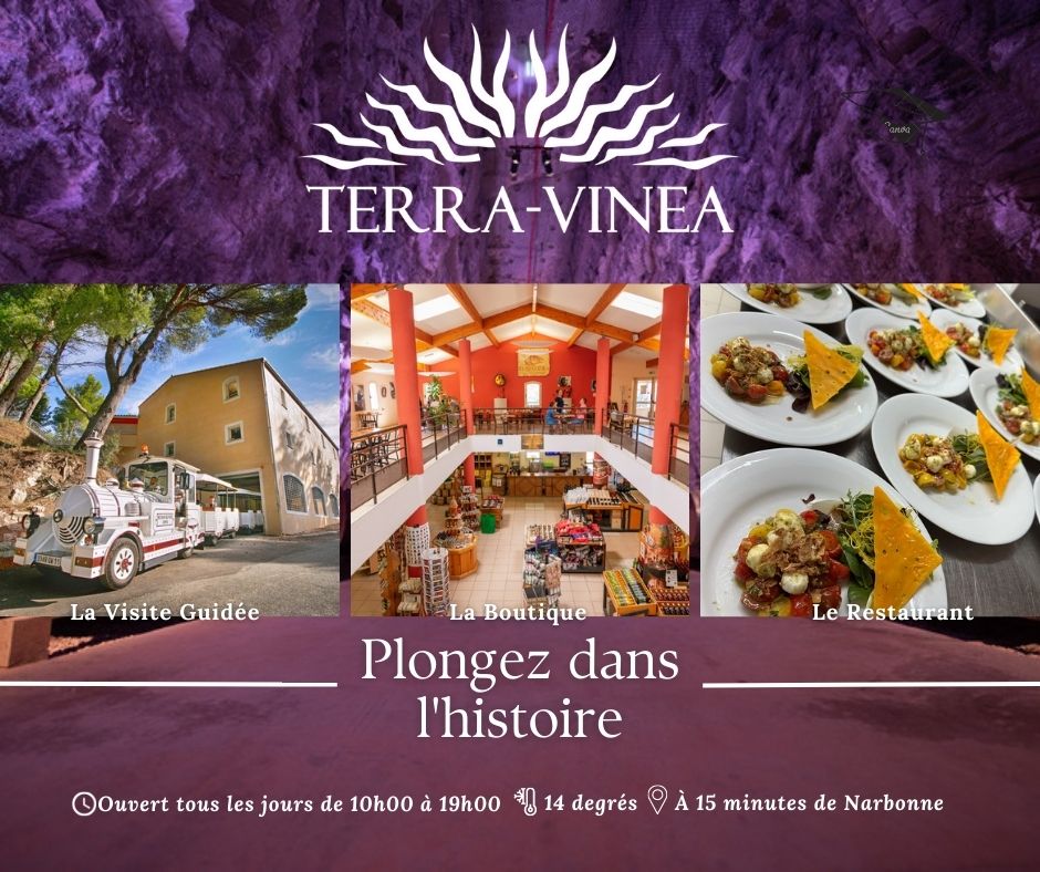 26-07-23 : Anne-Sophie, responsable de la boutique à Terra Vinéa à Portel des Corbières