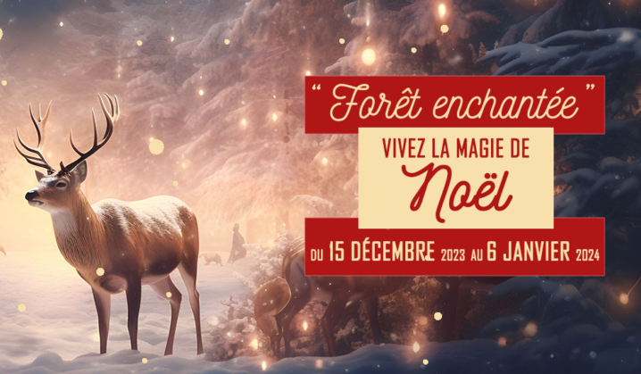 16-12-23 : Frédéric CANTIE, maire adjoint délégué aux animations de Port la Nouvelle