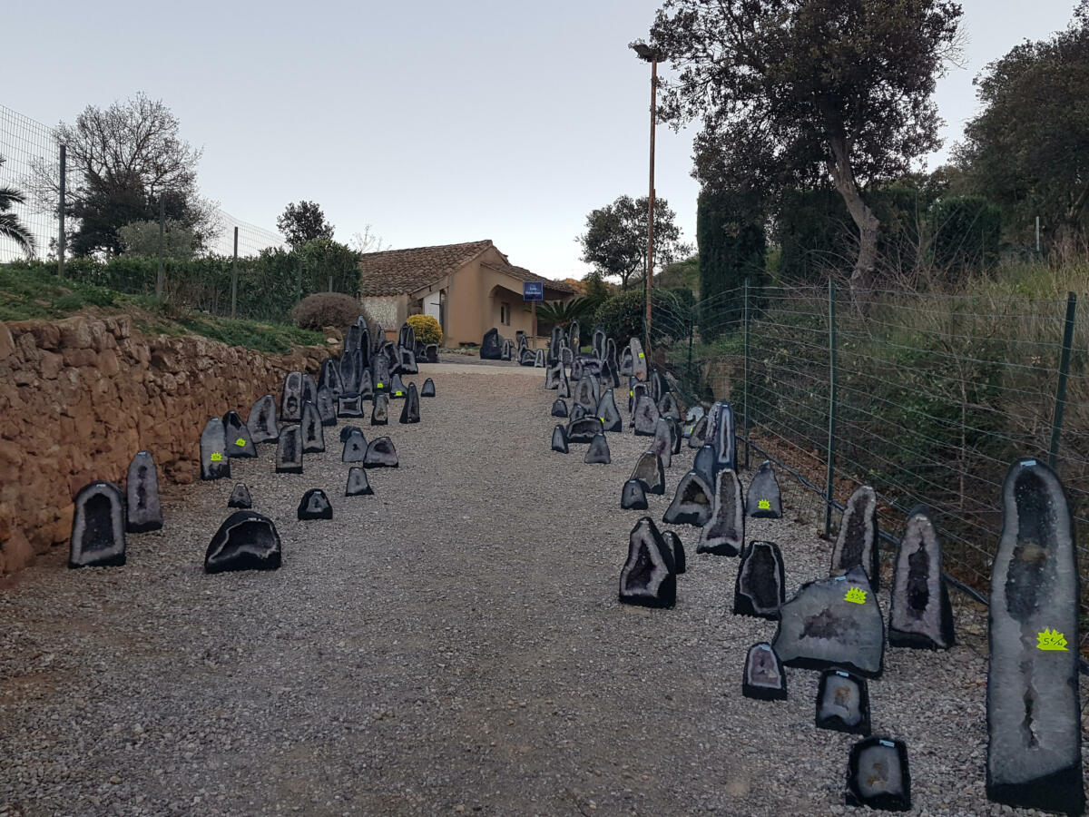 27-12-23 : Norbert SPILMONT, à la tête du Domaine de la Source à Bizanet