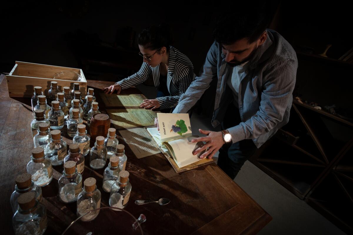 11-04-24 : Jeanne FABRE, Directrice œnotourisme au Château de Luc à Luc sur Orbieu