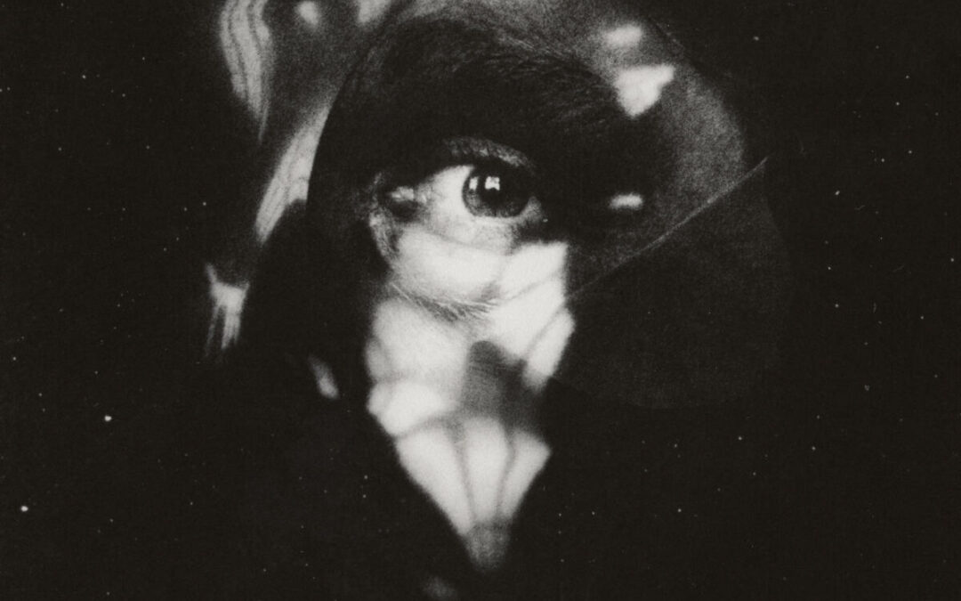 Glass Animals Creatures In Heaven