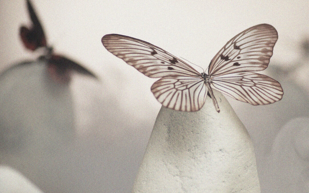 Marina Kaye The freedom in goodbye (Let it go)