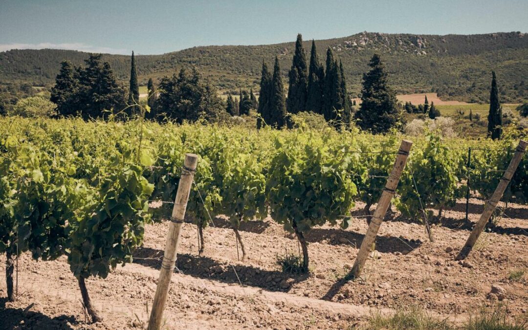 202599626_124153543179030_5276376638548869760_n