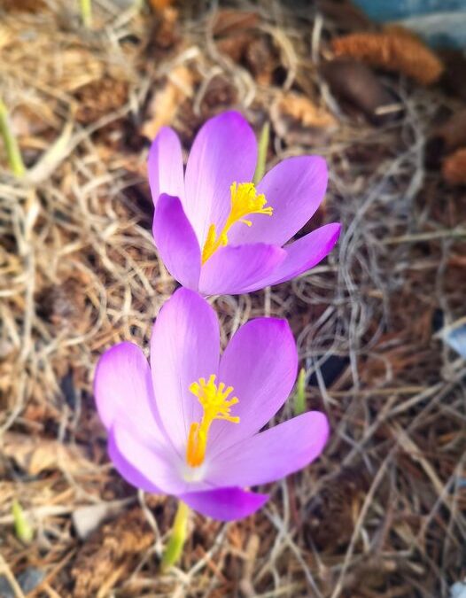 462480495_847251734062473_4876363081281265166_n