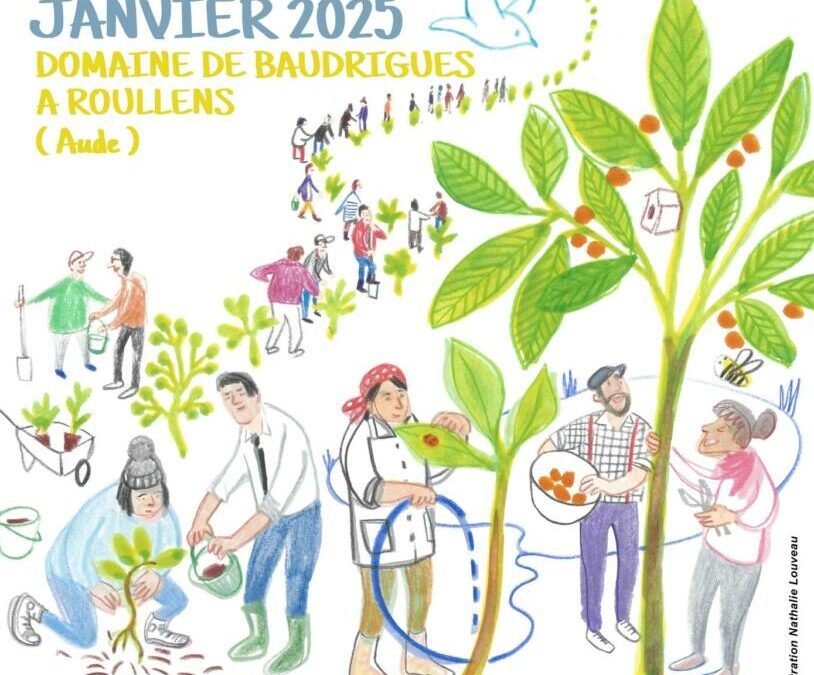 467170400_911850564377332_2254941737540391358_n