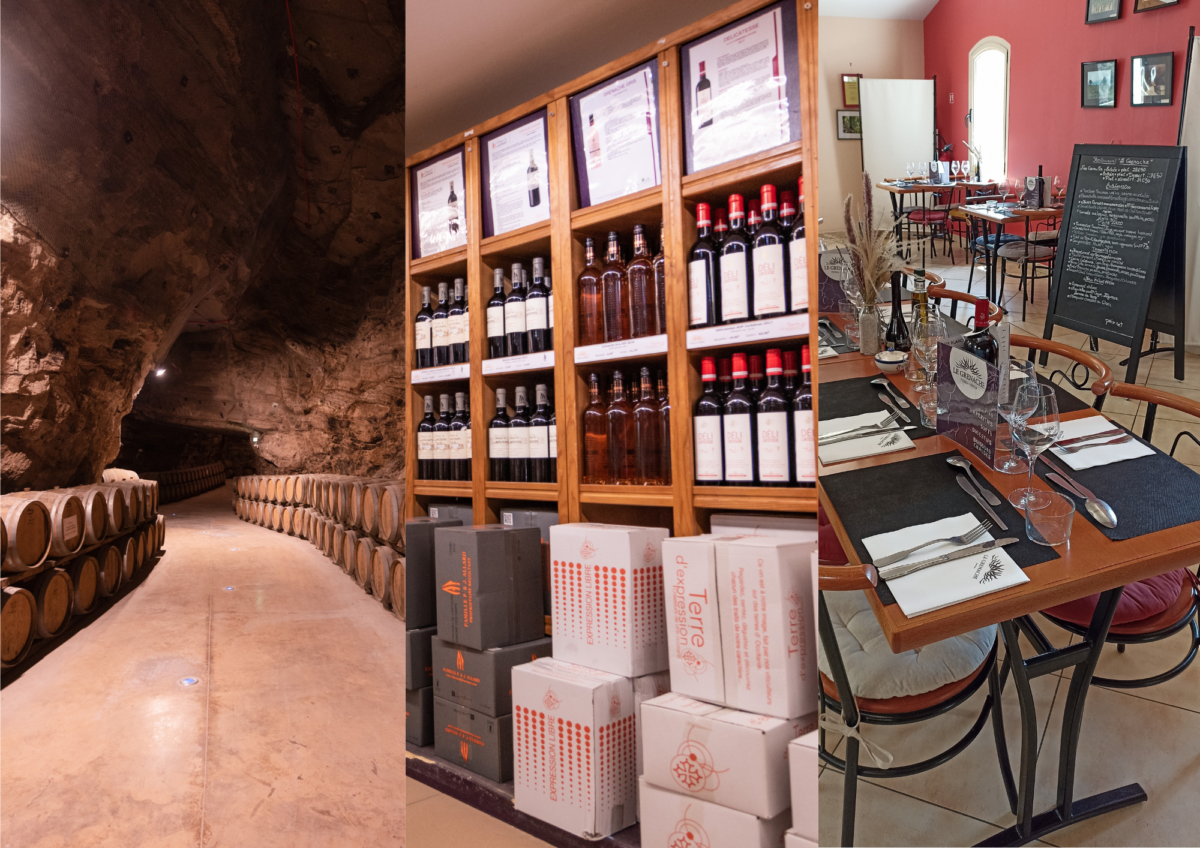 15-04-25 : Marie BLAIS de Terra Vinéa à Portel des Corbières