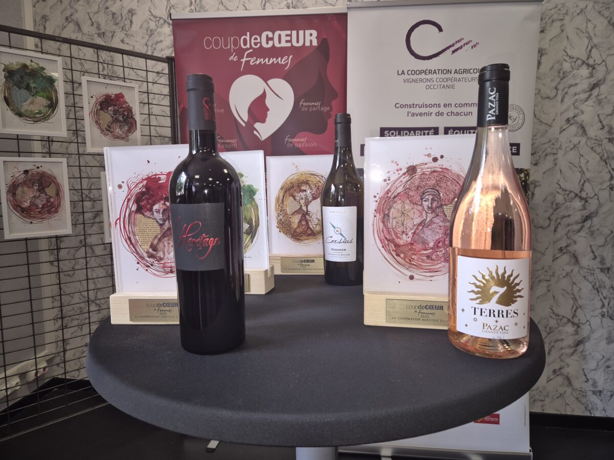 14-06-25 : Fabien CASTELBOU, président des vignerons coopérateurs d’Occitanie