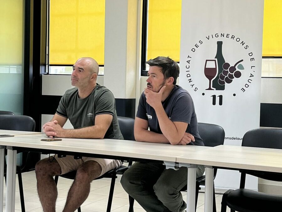 538080479_1183731653798137_4343641443904848784_n