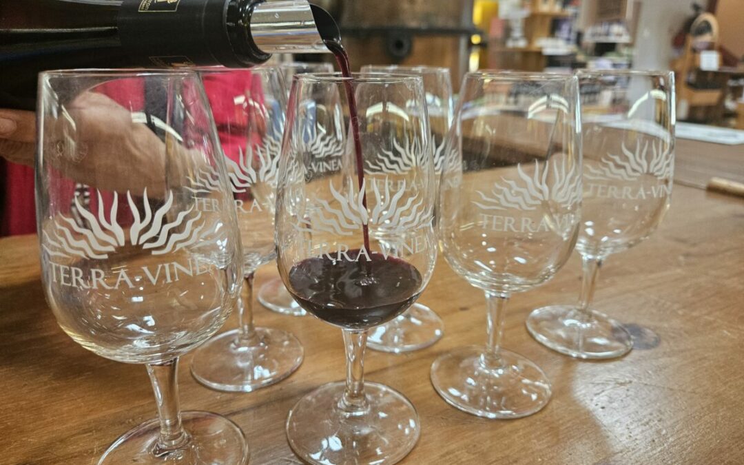 Terra vinea ete 2025