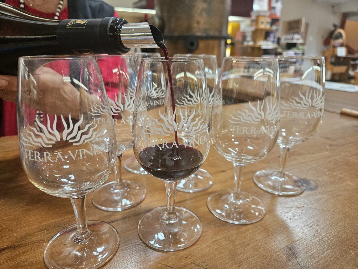 05-08-25 : Marie BLAIS de Terra Vinéa à Portel des Corbières