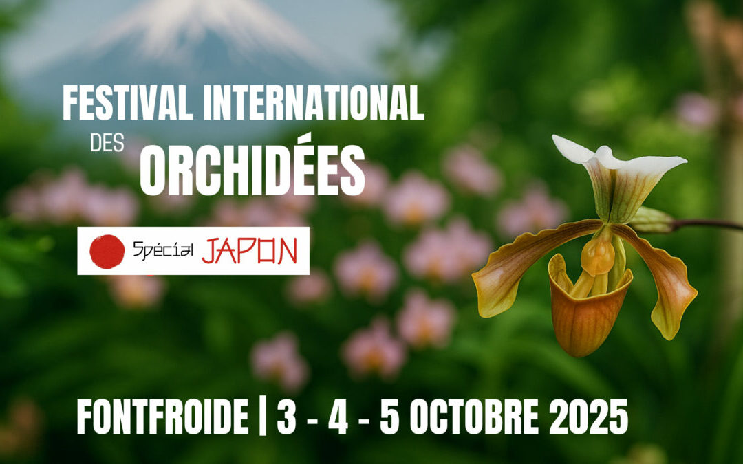 544926411_1192547602908034_5013925277964349676_n