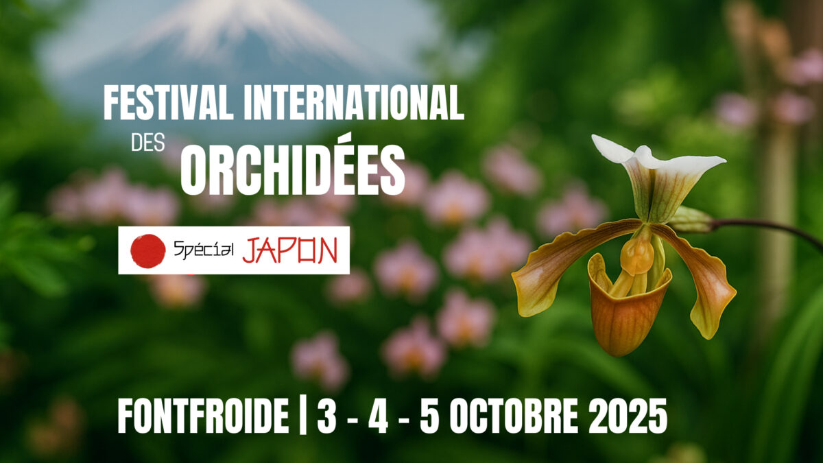 25-09-25 : Justine BUFFALON, responsable évènementiel pour l’abbaye de Fontfroide