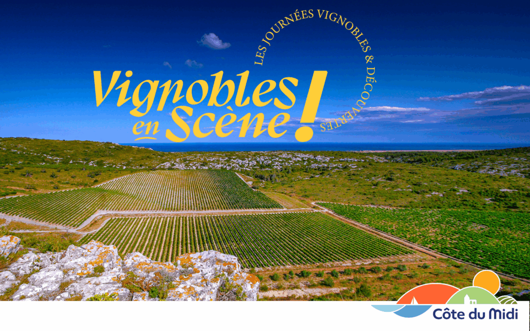 14-10-25 : Delphine FERRARI, en charge de l’œnotourisme pour l’Office de Tourisme de la Côte du Midi