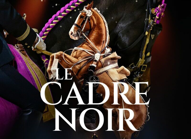 18-11-25 : Frédérique MERCIER : responsable communication, marketing et mécénat du Cadre Noir