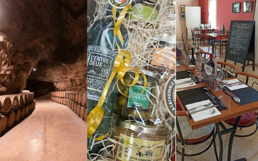 Photo Terra Vinea (1)