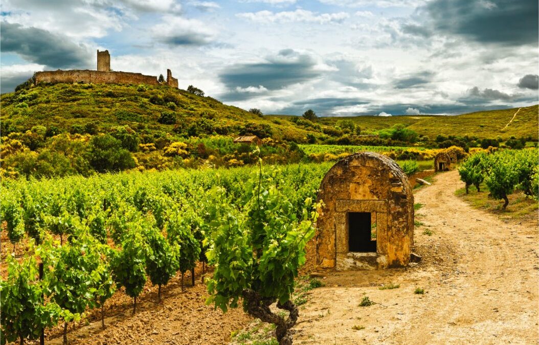 Montredon_Castellas et montjoi