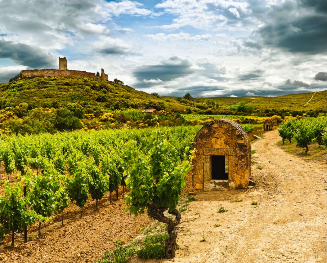 Radio Barques 17 jan 2026. Partie 2. J-Marc Jansana, maire de Montredon des Corbières.