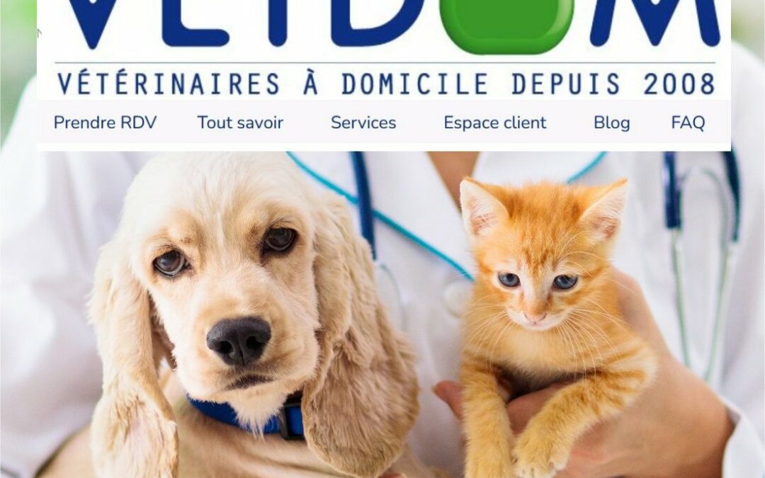 Vetdom Nb chien & chat