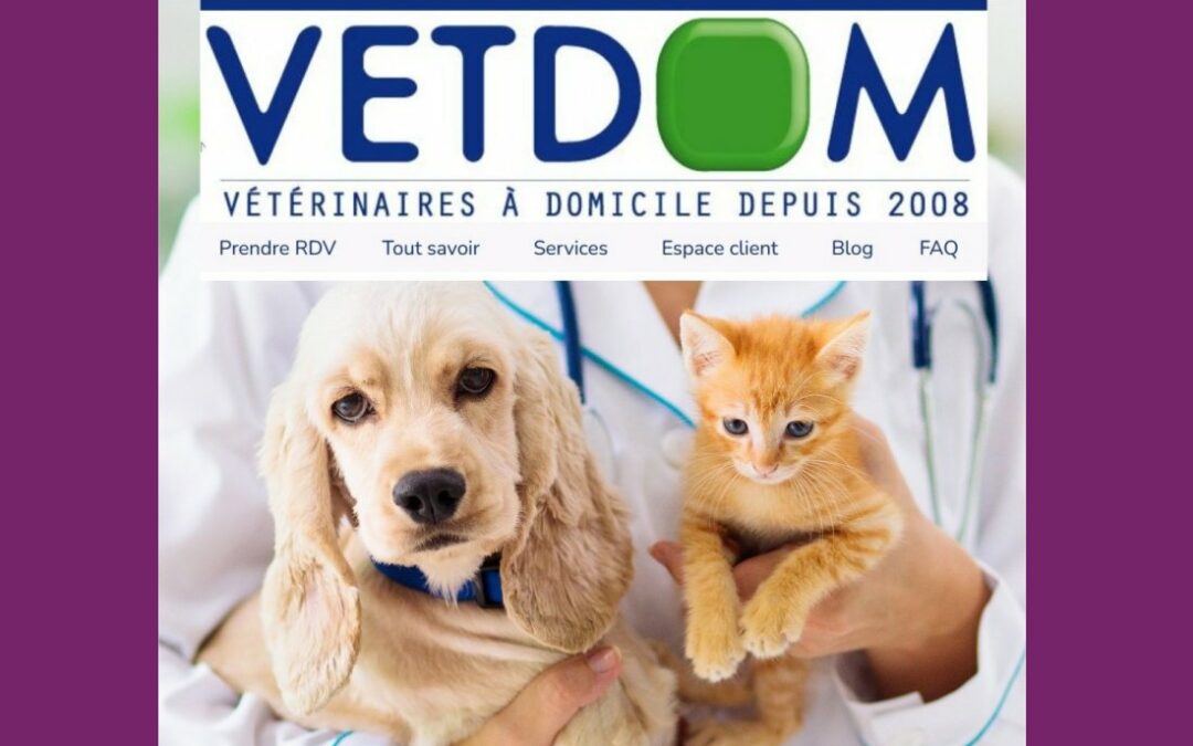 Vetdom chien & chat_slider