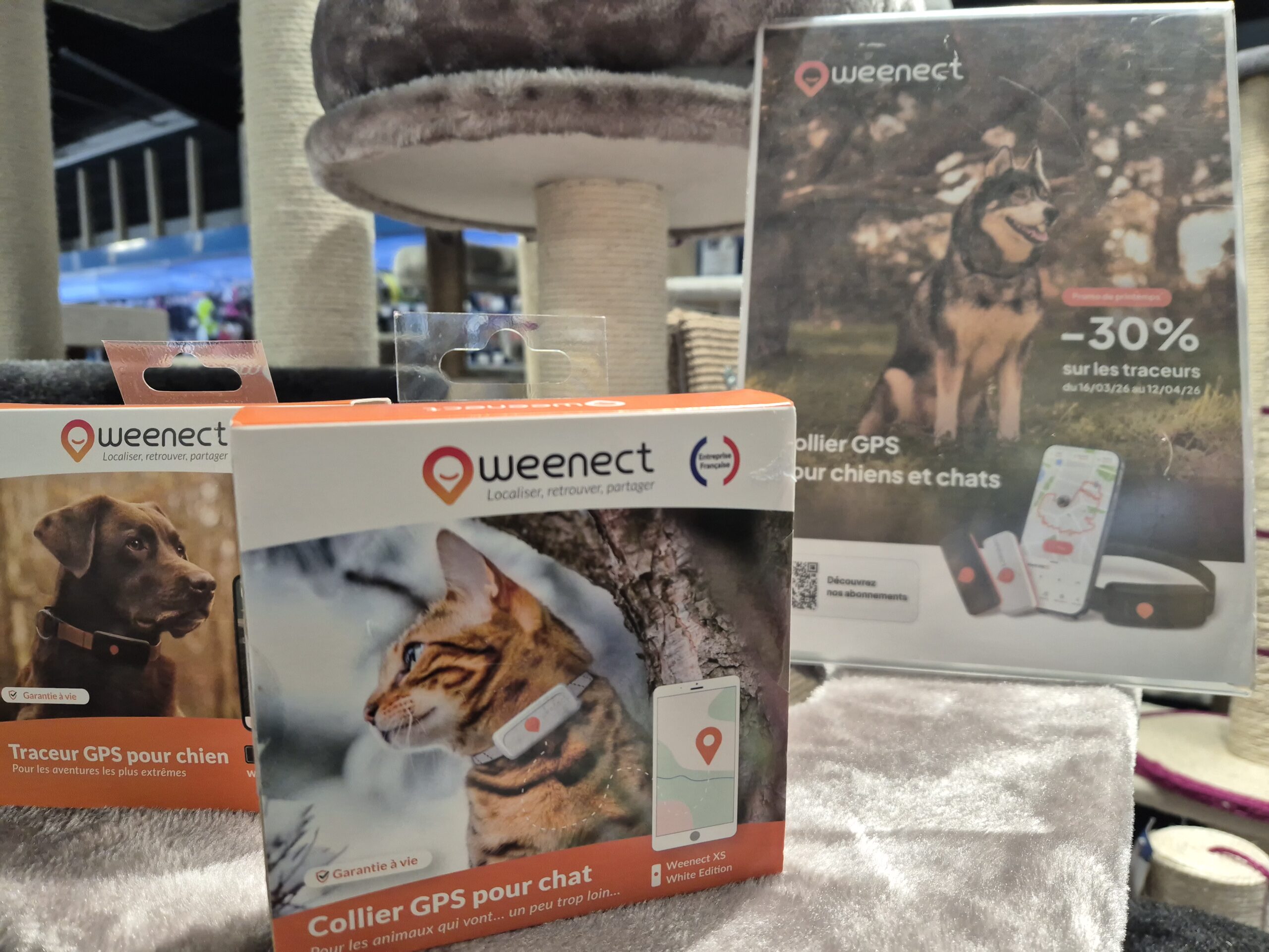 08-04-26 : Elise LAPALU, à la tête de Médor et Cie à Narbonne et Lézignan-Corbières