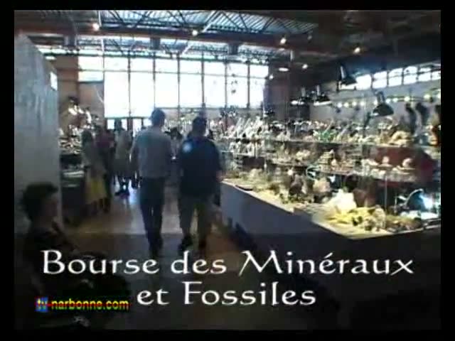 Bourse aux Minéraux et Fossiles Narbonne, 11 août 2007. 3’12.