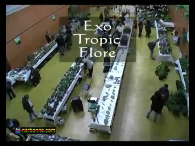 Exo tropic flore, exposition florale à Marcorignan. 4’08.