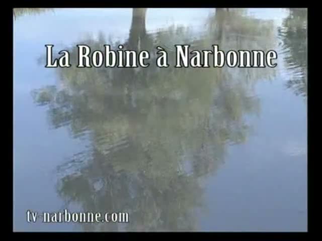 La Robine à Narbonne. 2007.